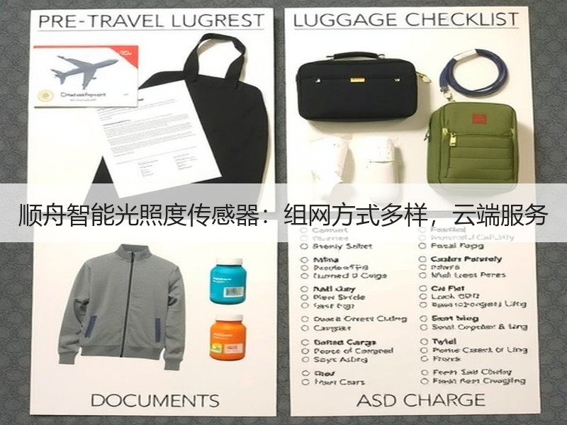 顺舟智能光照度传感器：组网方式多样，云端服务