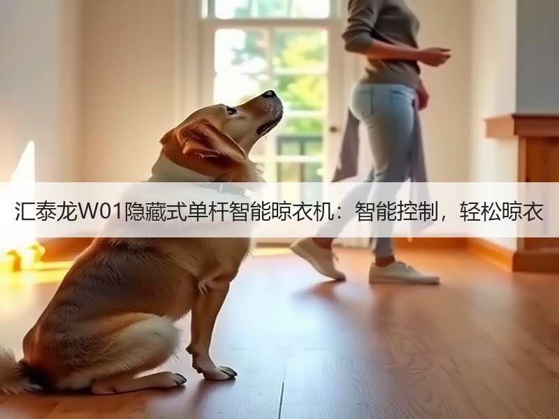 汇泰龙W01隐藏式单杆智能晾衣机：智能控制，轻松晾衣