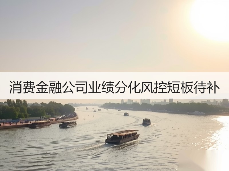 消费金融公司业绩分化风控短板待补