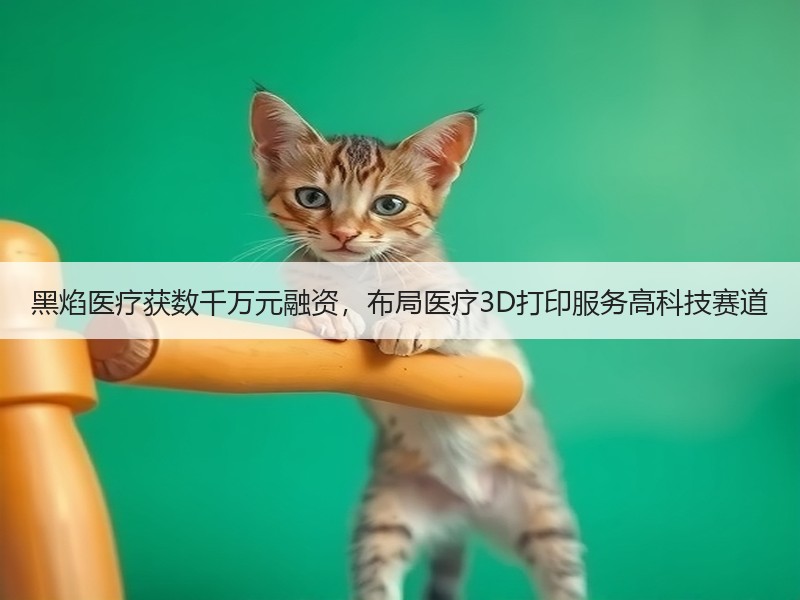 黑焰医疗获数千万元融资，布局医疗3D打印服务高科技赛道