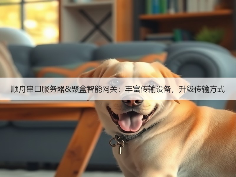 顺舟串口服务器&聚盒智能网关：丰富传输设备，升级传输方式