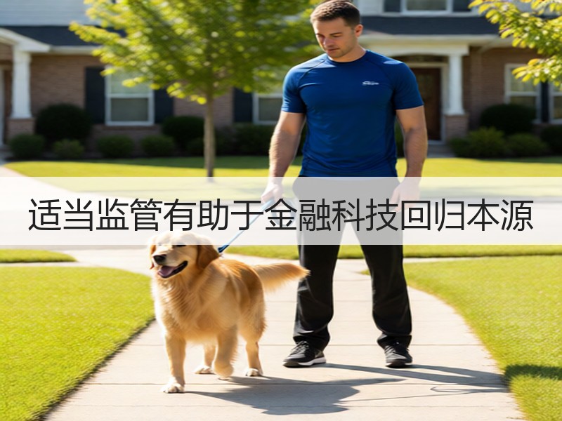 适当监管有助于金融科技回归本源