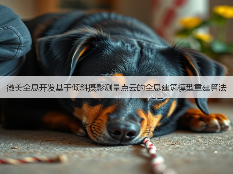 微美全息开发基于倾斜摄影测量点云的全息建筑模型重建算法