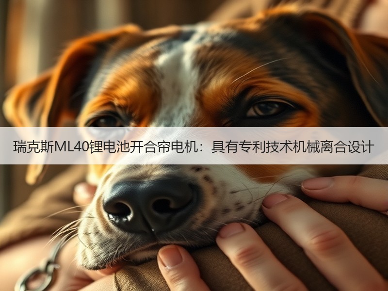 瑞克斯ML40锂电池开合帘电机：具有专利技术机械离合设计