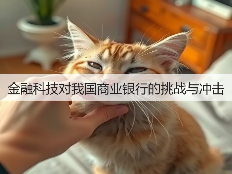 金融科技对我国商业银行的挑战与冲击