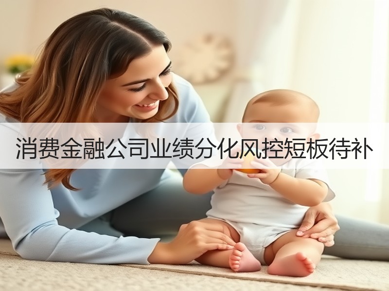 消费金融公司业绩分化风控短板待补