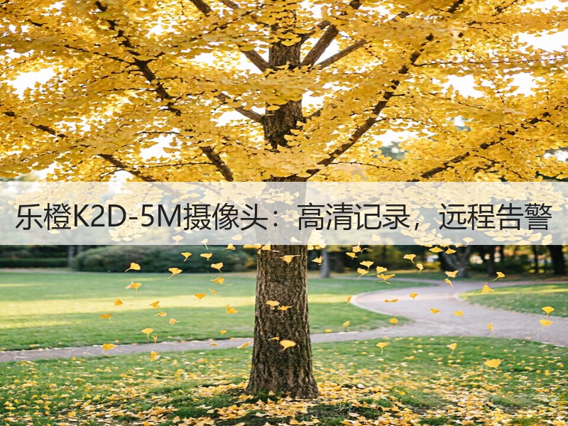 乐橙K2D-5M摄像头：高清记录，远程告警
