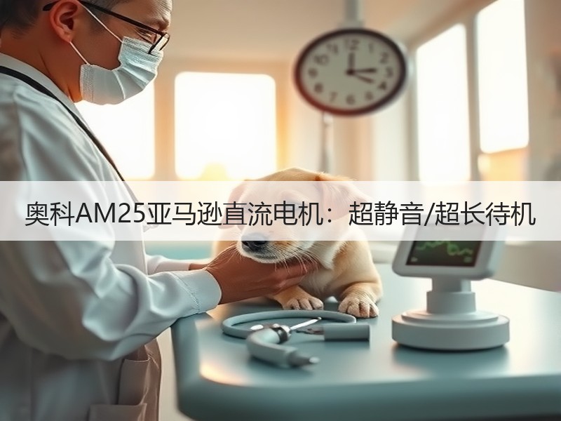 奥科AM25亚马逊直流电机：超静音/超长待机