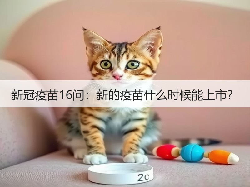 新冠疫苗16问：新的疫苗什么时候能上市？