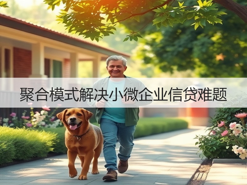聚合模式解决小微企业信贷难题