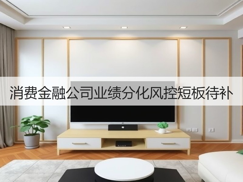 消费金融公司业绩分化风控短板待补