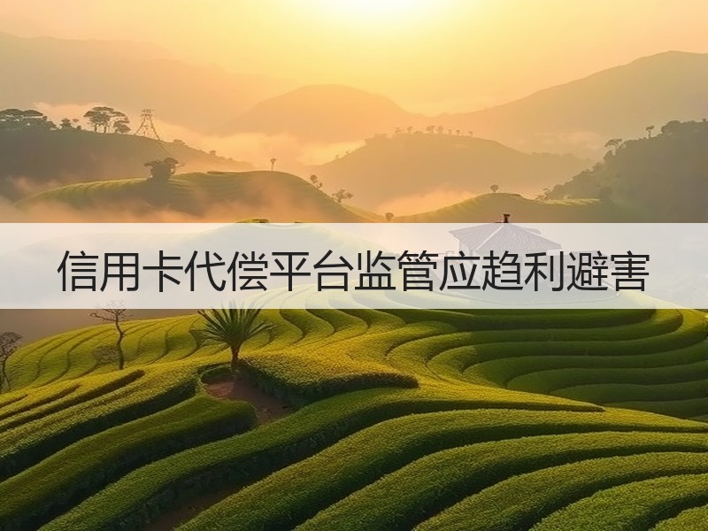 信用卡代偿平台监管应趋利避害