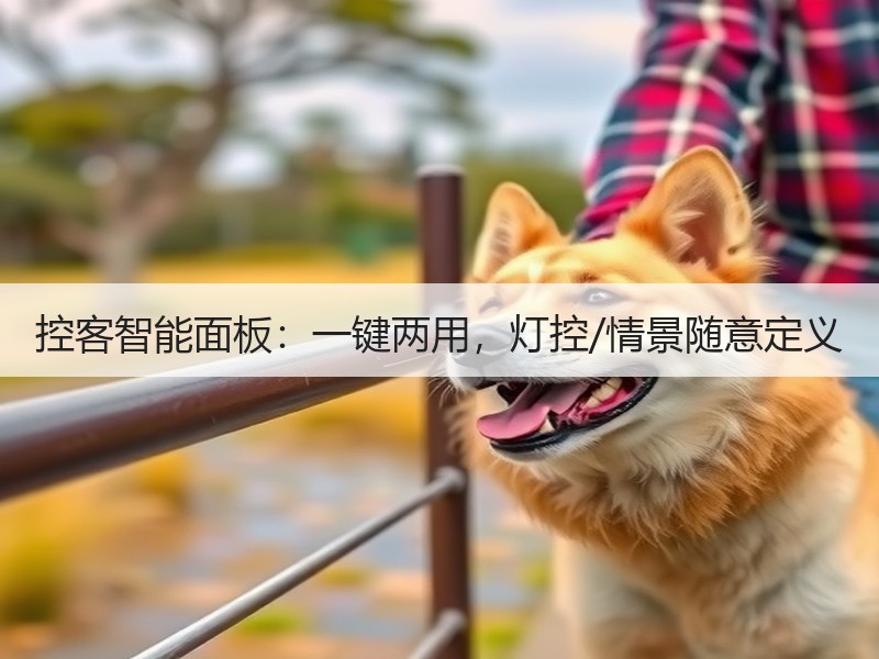 控客智能面板：一键两用，灯控/情景随意定义