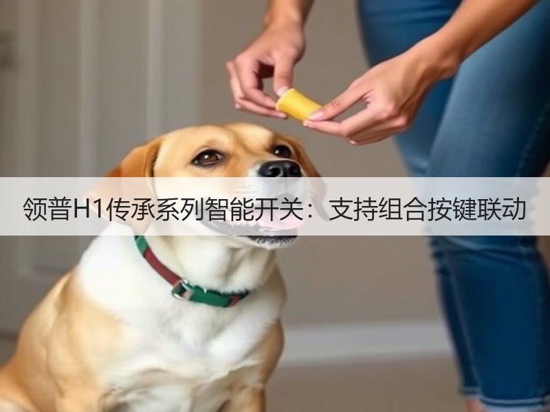 领普H1传承系列智能开关：支持组合按键联动