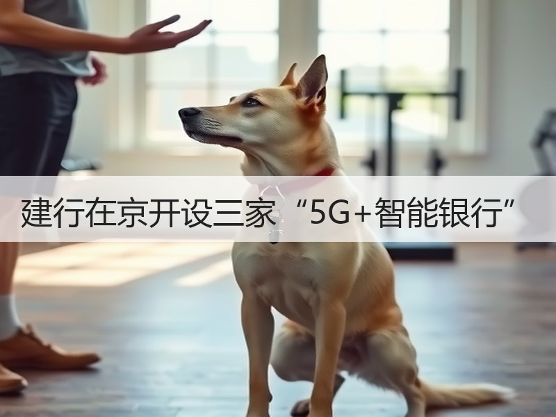 建行在京开设三家“5G+智能银行”