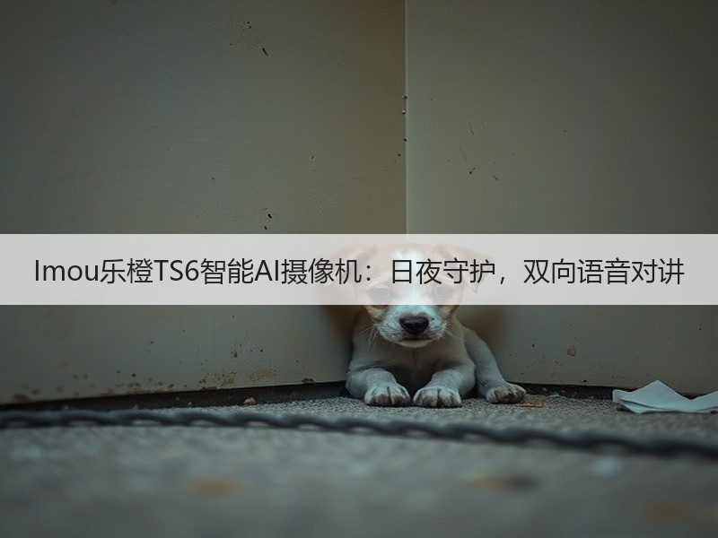 Imou乐橙TS6智能AI摄像机：日夜守护，双向语音对讲