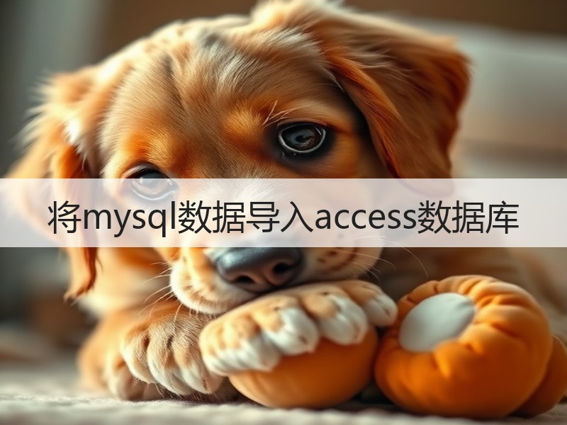 将mysql数据导入access数据库